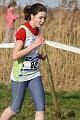 regx de cross 2008 538